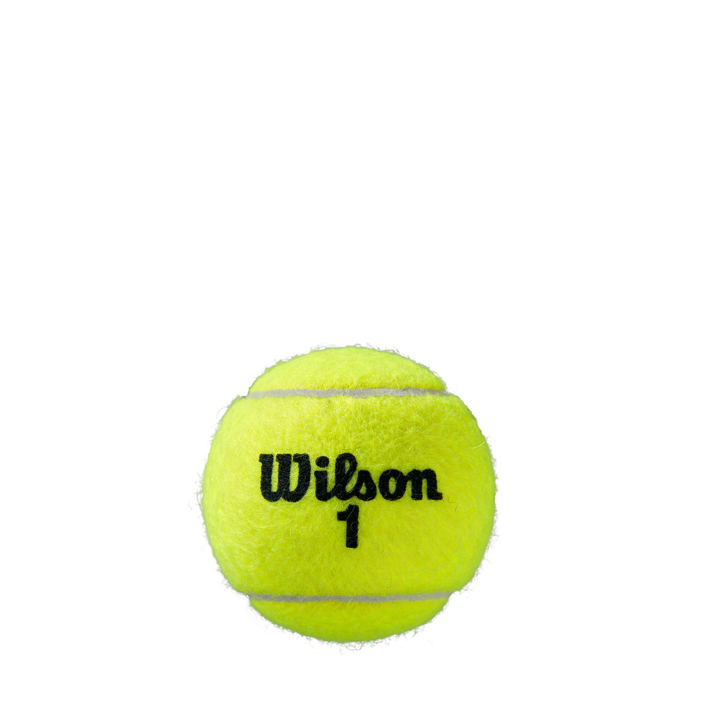 ROLAND GARROS CLAY COURT 3-BALL 24 CAN CASE TENNIS BALLS - WilsonME